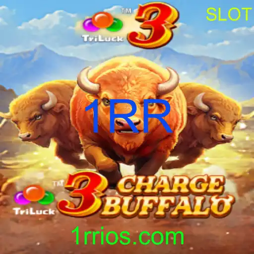 Explorando o Envolvente Mundo de 3ChargeBuffalo